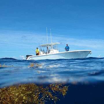 View full size image of 320  Model Info