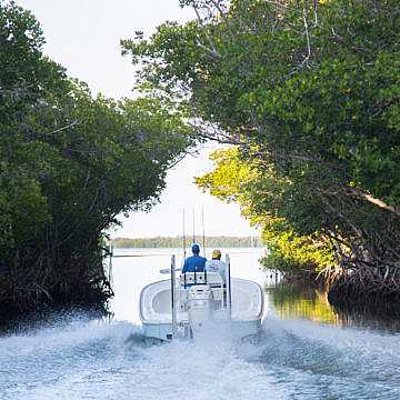 View full size image of 270 z bay
