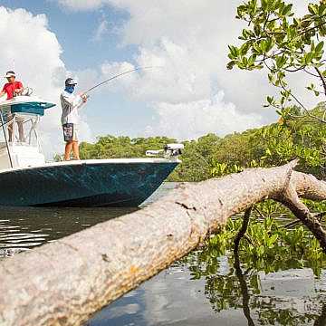 View full size image of 270z Model Info