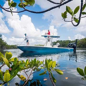 View full size image of 270z Model Info