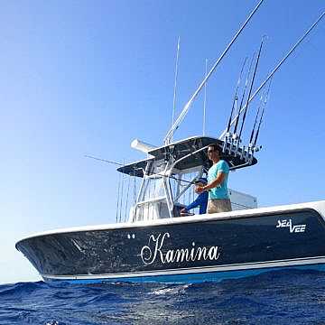 View full size image of 340b outboard gallery