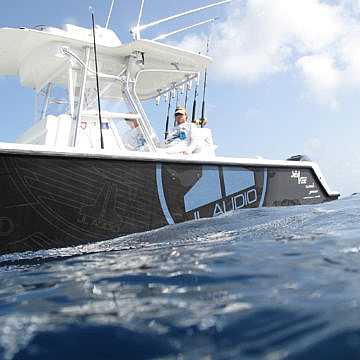 View full size image of 320