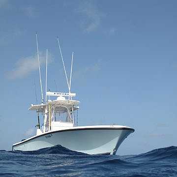 View full size image of 320