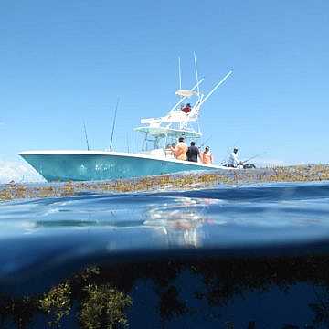 View full size image of 390