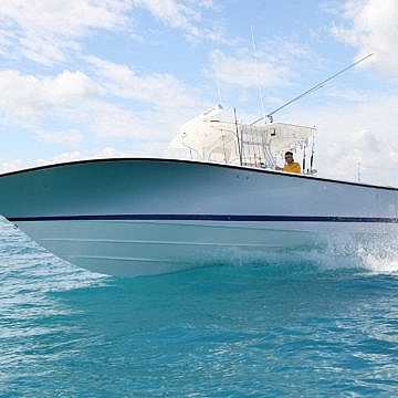 View full size image of 390