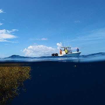 View full size image of 320