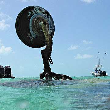 View full size image of 320