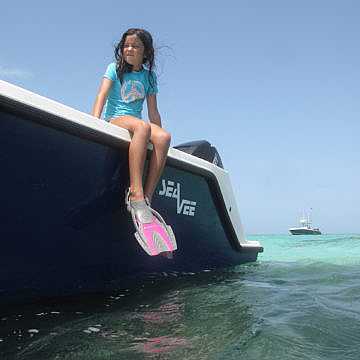 View full size image of 320