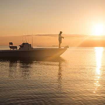 View full size image of 270 Z Bay