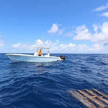 View full size image of 320