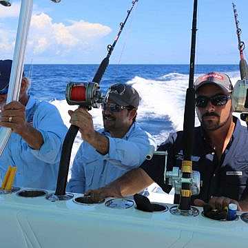 View full size image of 390