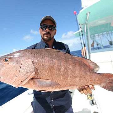 View full size image of 390