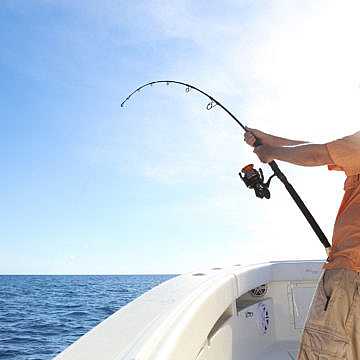 View full size image of 320