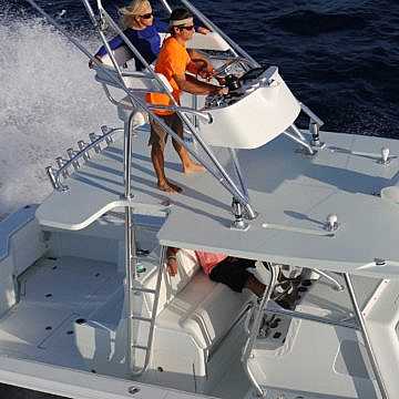 View full size image of 390