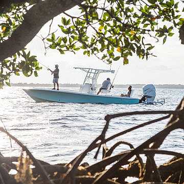 View full size image of 270 Z Bay