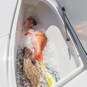 View full size image of 270 Z Bay