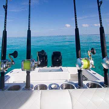 View full size image of 340 Z