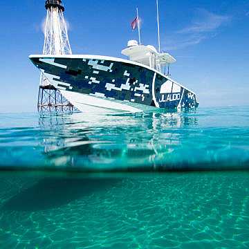 View full size image of 340 Z