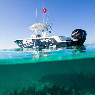 View full size image of 340 Z