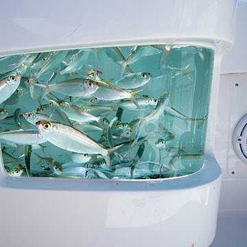 View full size image of 370 Z