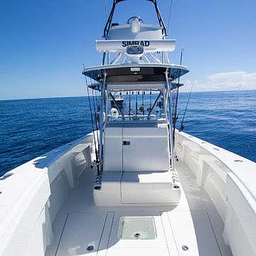 View full size image of 370 Z