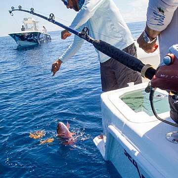 View full size image of 370 Z