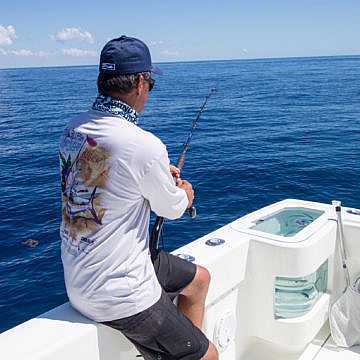 View full size image of 370 Z