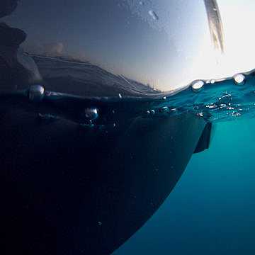 View full size image of 390 Z