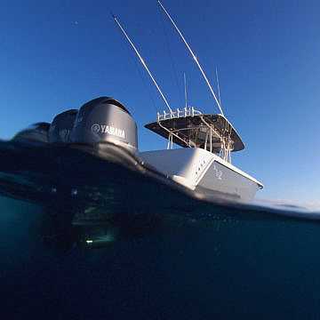 View full size image of 390 Z