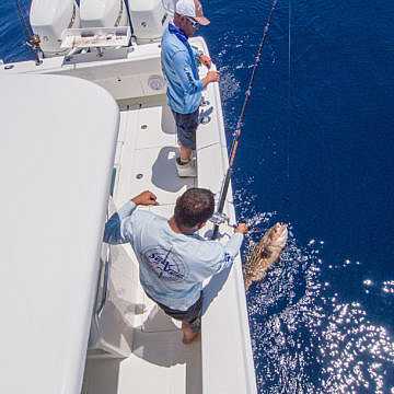 View full size image of 370 Z