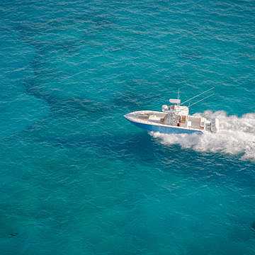 View full size image of 340z Model Info