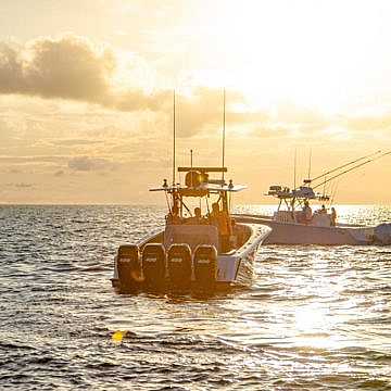 View full size image of 390z Model Info