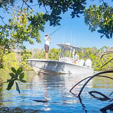 View full size image of 270z Model Info