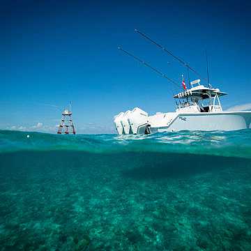 View full size image of 370z Model Info