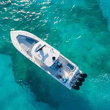 View full size image of 390z Model Info