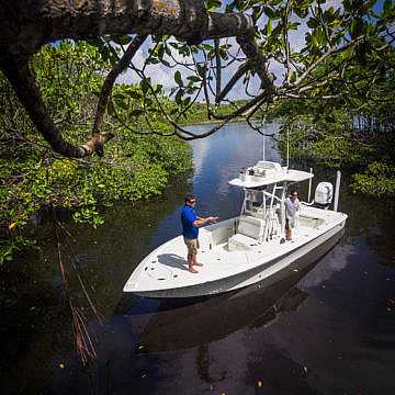 View full size image of 270z Model Info