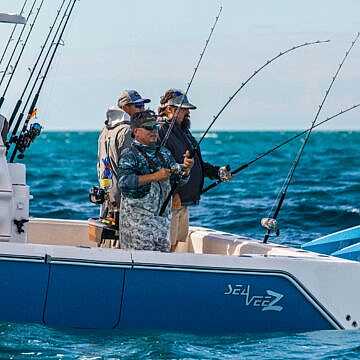 View full size image of 450z Model Info