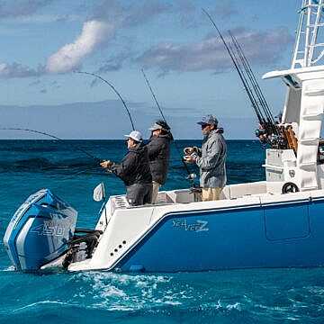 View full size image of 450z Model Info