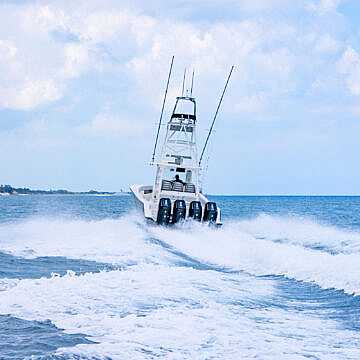 View full size image of 420z Model Info