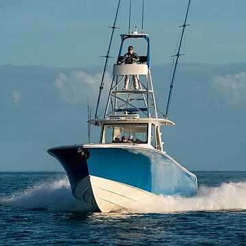 View full size image of 450z Model Info