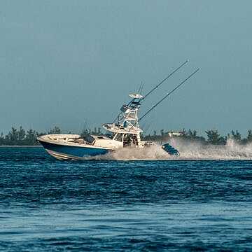 View full size image of 450z Model Info