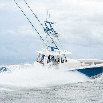 View full size image of 450z Model Info