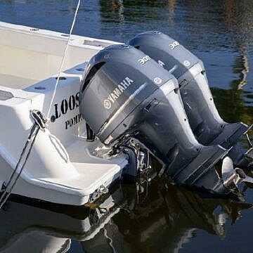 View full size image of 2019 322Z